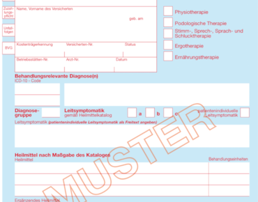 Heilmittelverordnung 13 Muster