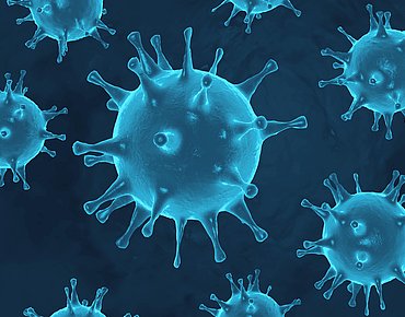 Corona Virus