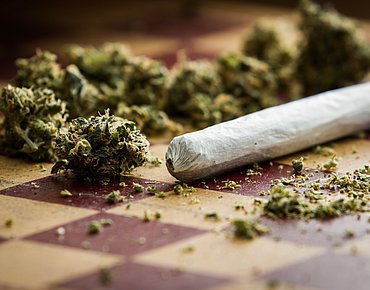 Cannabis