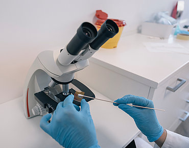 Mikroskopische Untersuchung