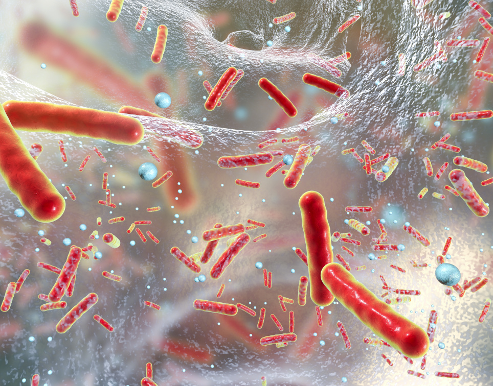 Antibiotikaresistenzen fordern weltweit viele Todesopfer Antibiotika resistente Bakterien