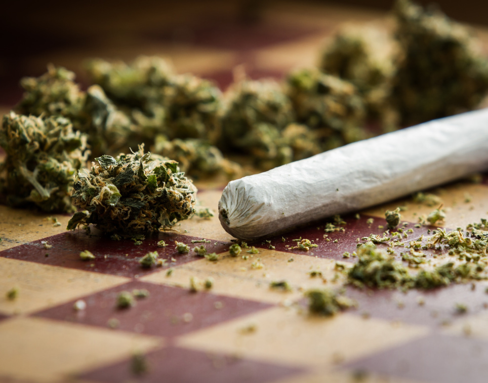 Cannabis
