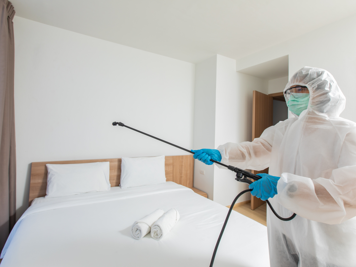 Person desinfiziert Hotelzimmer gegen den Hanta Virus