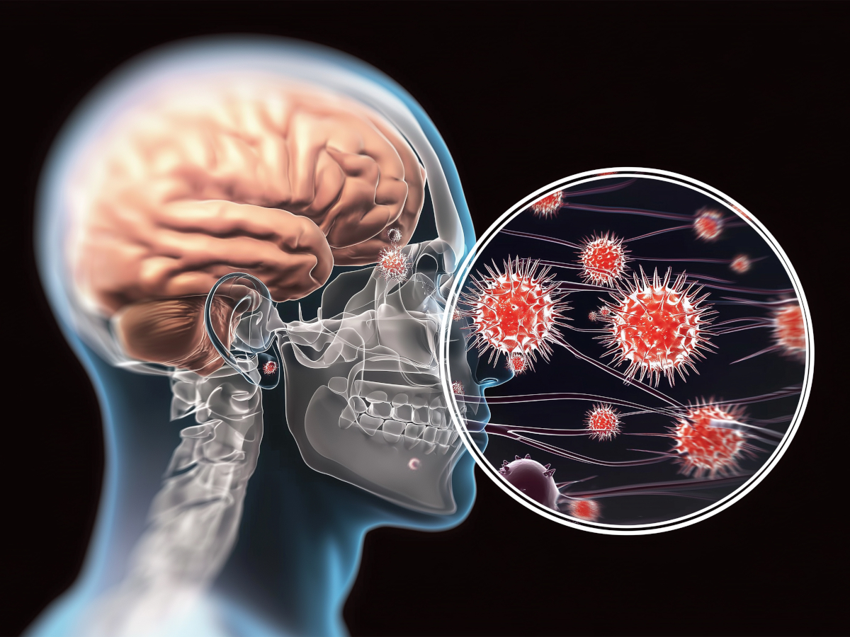 Symbolbild Meningokokken