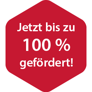 Störer - 100 % gefördert