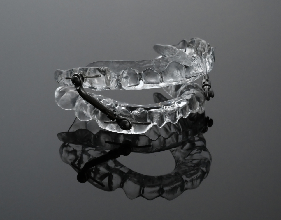 Protrusionsschiene